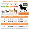 71ngCU10UOL._SL1500_.jpg BURAQ No Pull Dog Harness For Large, Medium & Small Dogs | Reflective Oxford Vest | Soft Padded Chest Belt | Easy Control | Anti-Choke Dog Belt For Walking & Training,Black