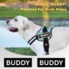 Dog Harness Chest Body Belt for Medium Dogs with Easy Control Handle, Breathable Soft Padding, Night Reflective, No Choke Design, Safety Lock Buckle (Sky Blue, M)