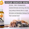71np2aG3qRL._SL1200_.jpg Boltz Odour and Urine Smell Remover Pet Area Freshener for Dog and Cat with Lavender Fragrance (200 ml), 1 Piece