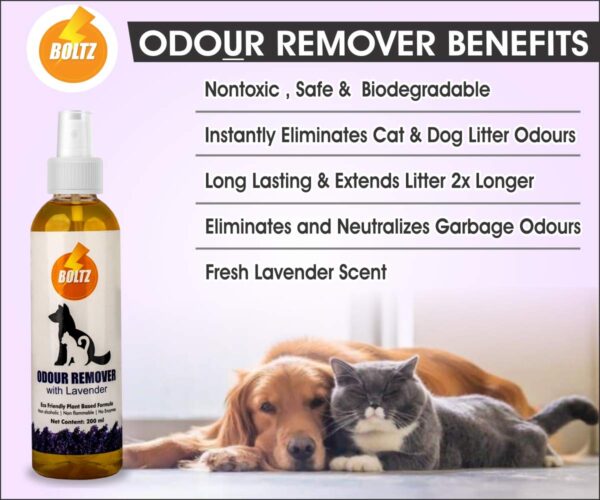71np2aG3qRL._SL1200_.jpg Boltz Odour and Urine Smell Remover Pet Area Freshener for Dog and Cat with Lavender Fragrance (200 ml), 1 Piece