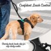 No-Pull Dog Harness with Custom Name Tag | Adjustable Reflective Pet Vest for Medium & Large Dogs | Soft Padded, Front & Back Leash Clip (Midnight Black, Medium)