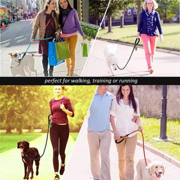 Nylon Dog Leash with Comfortable Padded Handle and Reflective Threads for Running, Walking & Training to Puppy, Small Medium and Large Dogs (1.5 Meter-5 Feet 1.2 cm Diameter)
