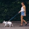 Amazon Basics Retractable Dog Leash | 5 Meter | for Large Dogs Up to 50 Kg | Heavy Duty Leash for Pets | Strong Nylon Tape, Anti-Slip Handle, Built in Spring, One-Click Brake Pause | Blue