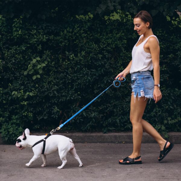 Amazon Basics Retractable Dog Leash | 5 Meter | for Large Dogs Up to 50 Kg | Heavy Duty Leash for Pets | Strong Nylon Tape, Anti-Slip Handle, Built in Spring, One-Click Brake Pause | Blue