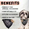 Western Era Stylish Dog Collar Scarf – Adjustable, Comfortable Pet Accessory for Puppy, Kitten, Trendy Bandana, Soft Fabric, Perfect, Special Occasions, Washable, Small Breed (Black)