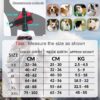 71oKJrKZyXL._SL1200_.jpg Hachiko Dog Harness with Rope | No Pull Dog Body Belt | Reflective Dog Vest Oxford Fabric | Soft Padded Easy Control Dog Chest Neck Belt | No More Pulling Or Choking (Small, Blue,Red)