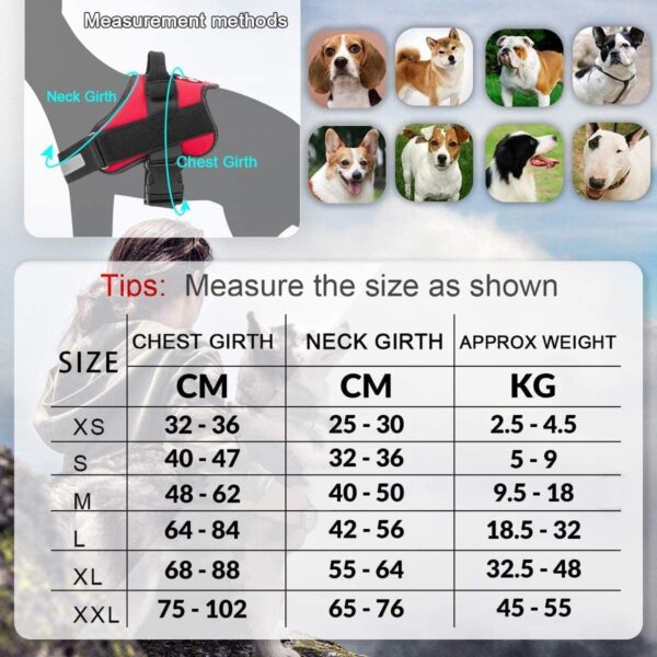 71oKJrKZyXL._SL1200_.jpg Hachiko Dog Harness with Rope | No Pull Dog Body Belt | Reflective Dog Vest Oxford Fabric | Soft Padded Easy Control Dog Chest Neck Belt | No More Pulling Or Choking (Small, Blue,Red)
