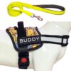 Dog Harness with Leash | Dog Belt for Medium Dogs Dog Harness with Leash | Dog Belt for Medium Dogs | No Pull, Adjustable | for 14-23Kg Dogs (M, Minion)