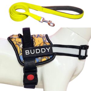 Dog Harness with Leash | Dog Belt for Medium Dogs | No Pull, Adjustable | for 14-23Kg Dogs (M, Minion)