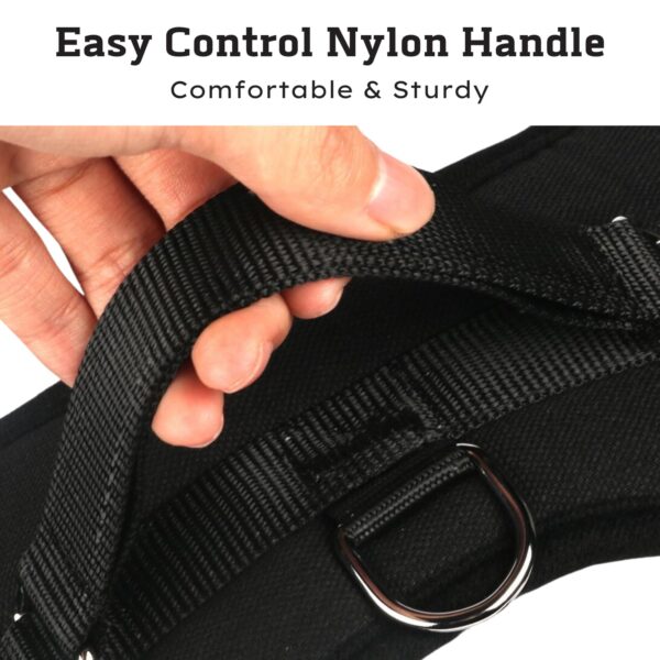 No Pull Dog Chest Belt Harness, Comfortable & Adjustable Size for 24-35 Kg Pet (Red, Large)