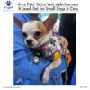 71onRqIxATL._SL1500_.jpg A+a Pets' Retro Vest Harness & Leash Set | No Pull, No Escape, Breathable, Cute Combo for Puppies, Small Dogs, Cats (Polka Blue, M)