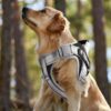 Dog Harness, Adjustable Dog Body Belt For Large Dogs With Copybook Dog Vest (XL, Black, Pack of 1),330 gram