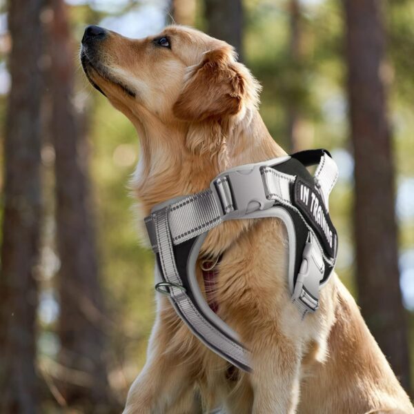 Dog Harness, Adjustable Dog Body Belt For Large Dogs With Copybook Dog Vest (XL, Black, Pack of 1),330 gram