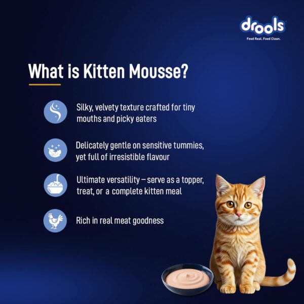 Drools Kitten Cat Wet Mousse 80gm | Ocean Fish | Rich in Protein, Promotes Hydration & Easy to Digest | Grain Free, No Artificial Flavours |Packed with Essential Vitamins & Antioxidants