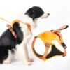 Sunkizzrs® Dog Harness with Retractable Leash, Adjustable Dog Chest Belt with Reflective Strip (Orange, Medium)