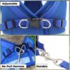 71pW-H5nlhL._SL1080_.jpg Kuber Industries Reflective Dog Harness with Adjustable Leash|Breathable Polyester Mesh Fabric |XS Size|HT-844|Comfortable No-Pull Grip|Quick Release Buckles|Easy On - Easy Off Harness|Blue
