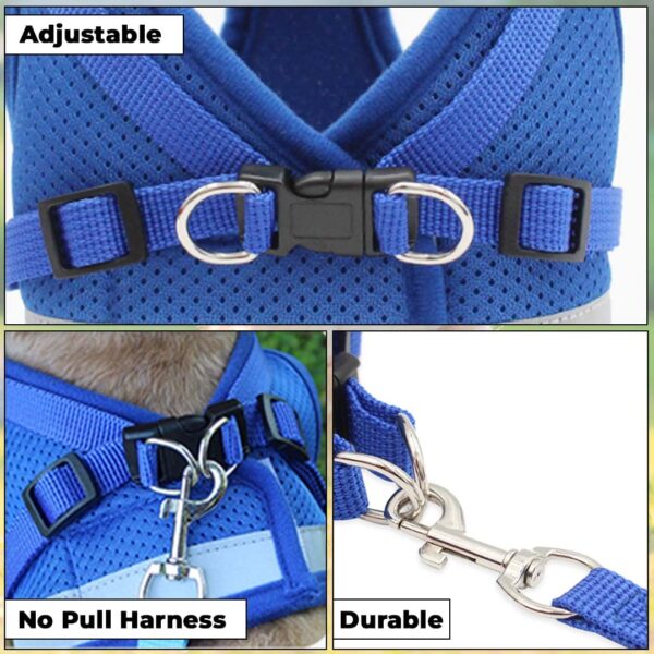 71pW-H5nlhL._SL1080_.jpg Kuber Industries Reflective Dog Harness with Adjustable Leash|Breathable Polyester Mesh Fabric |XS Size|HT-844|Comfortable No-Pull Grip|Quick Release Buckles|Easy On - Easy Off Harness|Blue