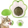 71pXK4zi9HL._SL1500_.jpg Dog Trust Catnip Balls Edible Catnip Ball for 1PCS Cats Kitten Toy Rotatable Mint Ball Kitten Chew Treats for Teeth Cleaning Biting Dental Care Safe Healthy Lick Toy (Paw)