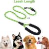 Petology Dog Leash 4FT Long, 1cm Thick Reflective Heavy Duty Rope with Anti-Slip Padded Handle for Small Dogs