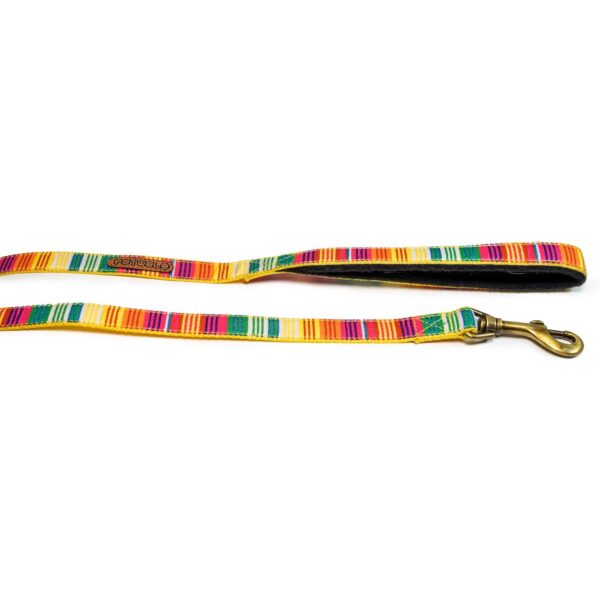 PetWale Dog Leash with Padded Handle | Suited for Walking, Running, Training & More | Colourful Stripes Print | Easy to Clean & Maintain | Durable & Sturdy | L: 5 feet, W: 0.75 inches
