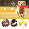 PremiumAV Indestructible Dog Chew Toys for Aggressive Chewers – Tough Durable Rubber Bone Toy for Small & Medium Dogs, Perfect for Training, Teeth Cleaning & Fitness
