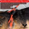 Vama Leathers I British Style Training Slip Leash I Adjustable Length I Strong & Durable Training Show Leash I Soft Nylon Rope I Leather Trims I Made in India I 5 Feet X 1 CM I Black.