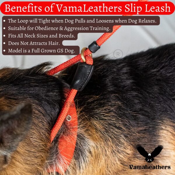 Vama Leathers I British Style Training Slip Leash I Adjustable Length I Strong & Durable Training Show Leash I Soft Nylon Rope I Leather Trims I Made in India I 5 Feet X 1 CM I Black.