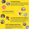Dog Trust Squeaky Toys for Puppy,Bone Design Ball Shaped Teething, Dog Chew Christmas Small Dogs Squeaker Latex Rubber Soft Ball Chewing Teething Fetching Toy Gifts for Puppy Medium Dog