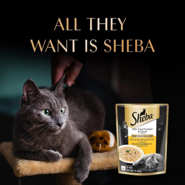 71pqz7jRRAL._SL1500_.jpg Sheba Fine Premium Adult (1+ Years) Wet Cat Food, Tuna Pumpkin & Carrot in Gravy, 70 g Pouch (Pack of 28), High-Moisture Gravy cat Food for Healthy Hydration
