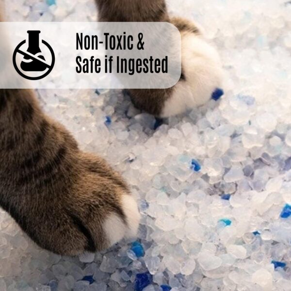 Cature Care by Nature Premium Crystal Cat Litter, Ultra Absorbent Silica Gel, 2.8kg/6L, Dust Free, Eco-Friendly Litter for Cats