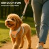 Pastel Dog Harness and Leash Set for Dogs and Cats | Adjustable No-Pull, No-Choke Soft Padded Pet Vest with Matching Leash | Comfortable, Cute and Stylish Walking Harness (Blue)