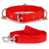 Dog Collar Belt and Leash Set for Large Dogs, Dog Stylish Nylon Leash Belts with Bell - Labrador, Golden Retriever, Pitbull, German Shepherd, Husky, Doberman (Large, Red)