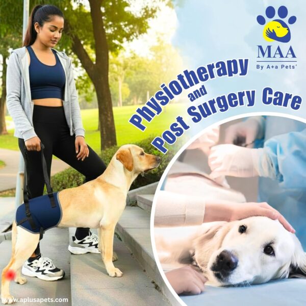 A+a Pets' Dog Lift Support Harness for Hind/Back Legs | for Disable Aged Injured Paralysed Arthritis Pets (Navy, L)