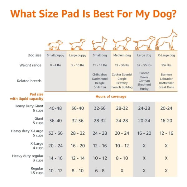 AmazonBasics Pet Pee Pads for Potty Training| Standard | Regular 56 x 56cms | 100 Pieces |Leak-Proof Quick Dry Design, 5-Layer, for Small Dogs and Puppies (Standard, Regular Size, 100 Pads)