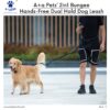 71qyOkZ2cOL._SL1500_.jpg A+a Pets’ 2in1 Bungee Hands-Free Dual Hold Dog Leash | Waist Body Elastic Leash for Running | Adjustable Lightweight Nylon Waterproof Multi-Function Belt Lead (Green)