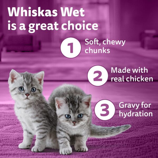 71qycr07OwL._SL1100_.jpg Whiskas Tasty Mix Kitten (2-12 Months) Wet Cat Food, Chicken, Tuna with Sweet Potato in Gravy, 70 g x 14, 100% Complete & Balanced Nutrition for Kittens