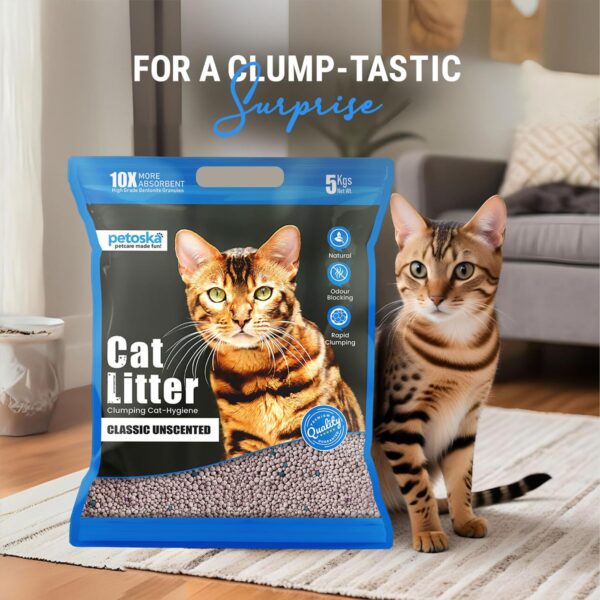 Cat Litter 20kg | 100% Natural Bentonite Clay | Rapid Clumping, Odour Lock, Low Dust, Gentle on Paws | Premium Absorbent Cat Litter for All Breeds | Pack of 4