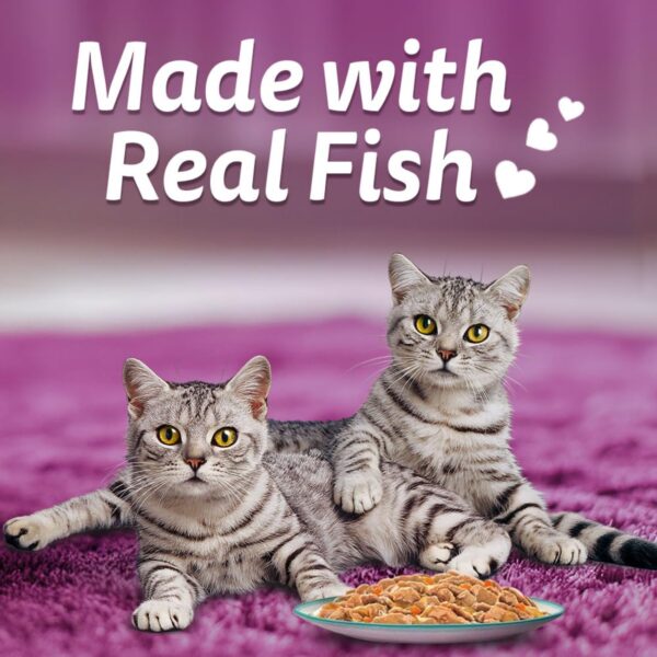 71rFWisYE5L._SL1100_.jpg Whiskas Tasty Mix Adult (1+ year) Wet Cat Food, Seafood Cocktail Wakame Seaweed in Gravy, 70 g, Cat Food Made with Real Fish, Complete & Balanced Nutrition for Adult Cats