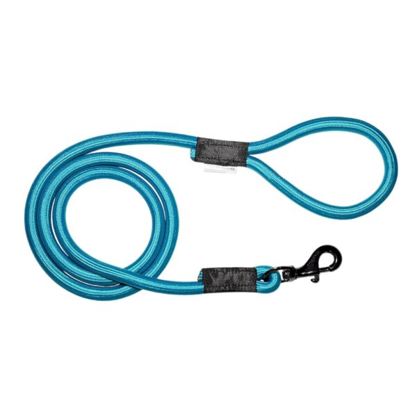 x Indian Hound 15mm Heavy Duty Nylon Rope Dog Cord Leash with Strong Hook for Walking, Running, Training of Small Medium Large Dogs (5ft Long, L, Peacock Blue)