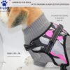 71rfYzirMOL._SL1496_.jpg A+a Pets' Heavy Duty No-Pull Pet Harness Adjustable Pet Vest with Handle for Outdoor Walking Easy Control for Small Medium Large Dogs (Medium, Camo Military)