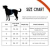 71rp8ALnbqL._SL1500_.jpg Comfort Adjustable Dog Harness with Free Carry Bag, Padded Leash & Poop Bag Holder, Size L, Classic Black, Soft Padded Chest & Back, No-Pull Design, Safety Buckles, Reflective Trim