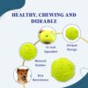 Foodie Puppies 6 in 1 Squeaky and Chew Rope Dog Toy Combo - (2Knot Rope + 3Knot Rope + Slipper + Corn Stick + Claw Ball + Blue Doggy) | Chewing, Playing, & Teething for Small Dogs and Puppies