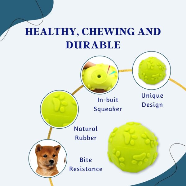 Foodie Puppies 6 in 1 Squeaky and Chew Rope Dog Toy Combo - (2Knot Rope + 3Knot Rope + Slipper + Corn Stick + Claw Ball + Blue Doggy) | Chewing, Playing, & Teething for Small Dogs and Puppies