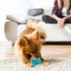 71s0sdKwhQL._SL1500_.jpg PremiumAV Squeaky Rugby Dog Toy – Durable Bounce & Fetch Ball for Medium & Large Dogs, Interactive Chew Toy for Aggressive Chewers, Outdoor Play & Training