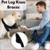 71s9oTMhS3L._SL1500_.jpg Western Era Dog Disability Leg Support Brace | Rear & Front Leg Injury Aid for Arthritis, Mobility, Sprain Recovery | Wrap for Disabled Dogs with Padding | Helps Walking, Balance, Joint Relief (Left)
