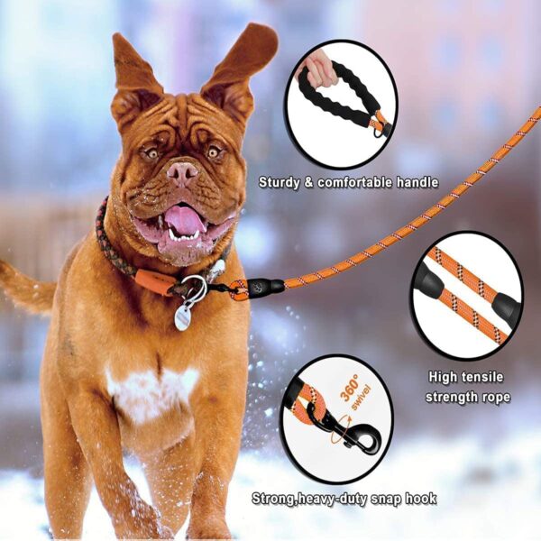 HANK Dog Leash | 3M Reflective Dog Rope | Soft Comfortable Handle | Heavy Duty Belt Hook | (Suitable Up to 10KG - Small Breed) - 5 Feet Long (S - Neon Orange)