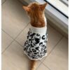 71sLk3J9fPL._SL1500_.jpg Lulala Turtleneck Winter Sweater for Small Dogs – Warm Knitwear for Boys & Girls | Soft Pet Clothes with Leash Hole | Cozy Autumn/Winter Dog Apparel