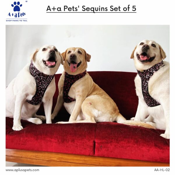 A+a Pets' Sequins Set of 5- Harness, Leash, Collar, Bow & Poo Bag Pouch for Dogs and Cats (2XL, Red)