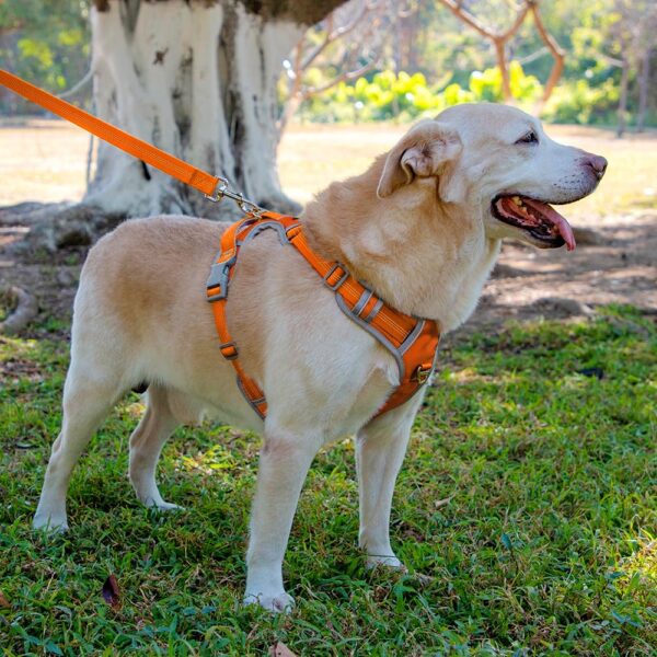 Front Range No-Pull Dog Harness – Adjustable Reflective Pet Vest with Easy Control Handle for Outdoor Adventures Orange