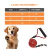 Reflective Adjustable Pet Leash for Dogs| Durable and Comfortable| Strong Nylon with Padded Handle| Straps Dogs Perfect for Harness and Neck Collar Belts ((D-Shape) 1/5 inch x 4 feet, Red)